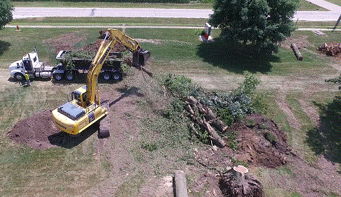 JCMS site work being done