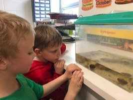 End of the year excitement in Mrs. Goetten’s Kindergarten!
