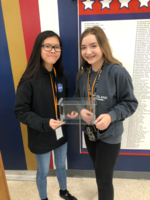Sunday Stem Showcase