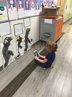 Kindergarten and First Grade Students Worked Together to Bring Their Artwork to Life