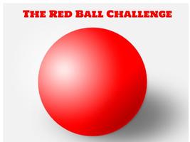 Third Grade Students Accepted the Challenge