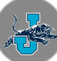 Jersey CUSD 100